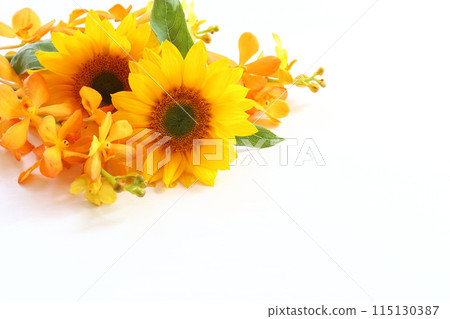 向日葵和莫切拉花束 115130387