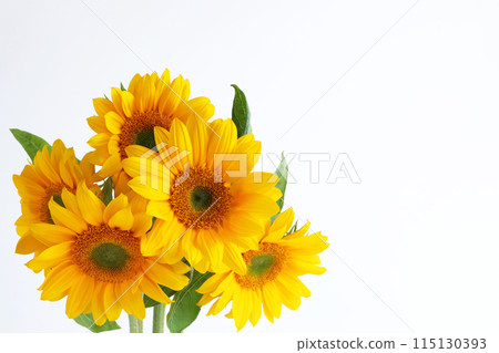 太陽花花束 115130393