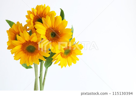 太陽花花束 115130394