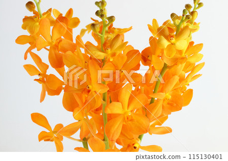 Bouquet of Mokela 115130401