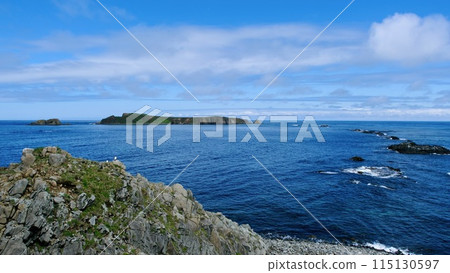 [Hokkaido] Cape Sukoton (Rebun Island) 115130597