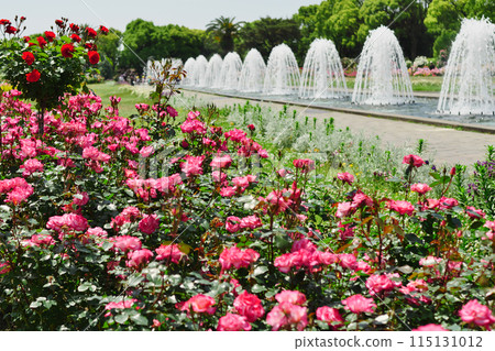 噴泉廣場玫瑰園內（須磨離宮公園） 115131012