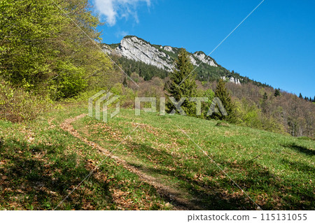 Black Stone hill, Big Fatra mountains scenery, Slovakia Black Stone hill, Big Fatra mountains scenery, Slovakia 115131055