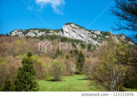 Black Stone hill, Big Fatra mountains scenery, Slovakia Black Stone hill, Big Fatra mountains scenery, Slovakia 115131056
