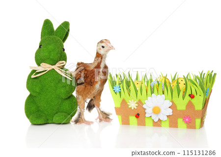 Easter Delights A Joyful Celebration of Spring and New Life Easter Delights A Joyful Celebration of Spring and New Life 115131286