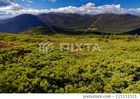 View of autumn-colored Yachidaira and the main ridge of the Agatsuma mountain range from Mount Higashi-Agatsuma View of autumn-colored Yachidaira and the main ridge of the Agatsuma mountain range from Mount Higashi-Agatsuma 115131315