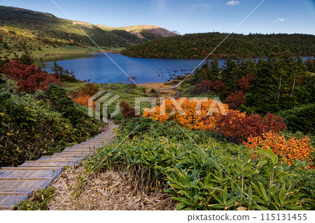 Azuma mountain range and Mount Issaikyo seen from Kamanuma lake with autumn leaves Azuma mountain range and Mount Issaikyo seen from Kamanuma lake with autumn leaves 115131455