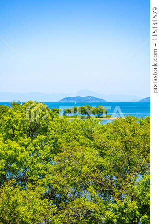 【琵琶湖風景】從琵琶湖大橋眺望蔚藍的大海 115131579