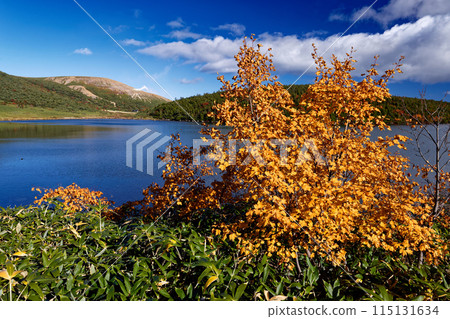 東山脈和鐮沼的紅葉風景 東山脈和鐮沼的紅葉風景 115131634