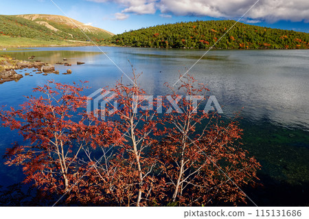Autumn foliage of the Azuma Mountain Range, Kamanuma and Issaikyozan 115131686