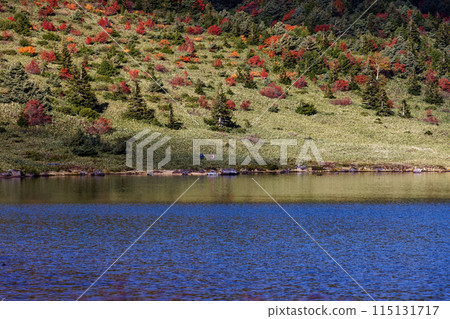 Hikers walking along the shores of Lake Kamanuma and the Azuma Mountain Range in autumn colors 115131717