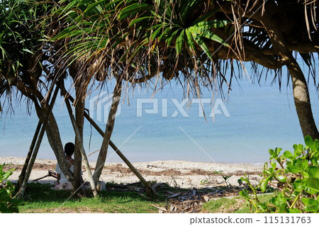 Shaded beach Shaded beach 115131763