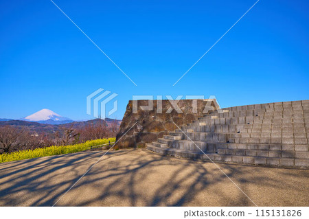 神奈川縣那賀郡二宮町的東山公園展望台，春季可眺望西面（富士山、矢倉岳等） 115131826
