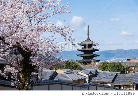 春天的京都東山區 115131989