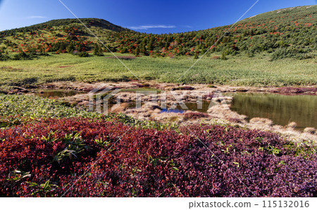 Autumn foliage at the Agatsuma Mountain Range and Sugahira Autumn foliage at the Agatsuma Mountain Range and Sugahira 115132016