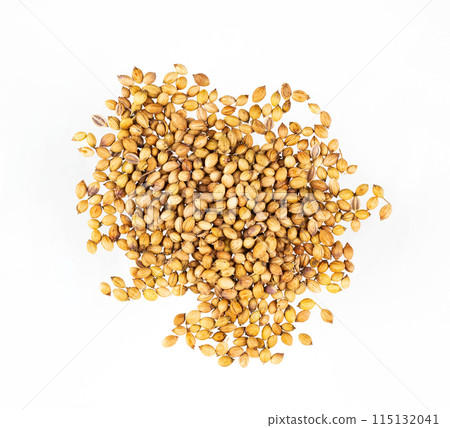 Aroma coriander seeds isolated on white background. Top view 115132041