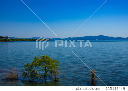 【琵琶湖風景】從琵琶湖大橋眺望蔚藍的大海 115132449