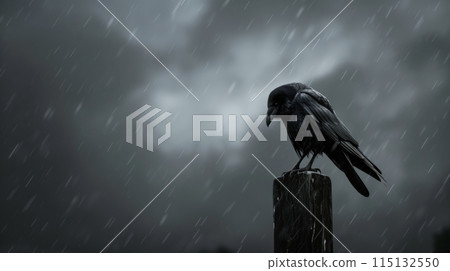 灰色的天空和雨下,一隻黑烏鴉棲息在樹上 灰色的天空和雨下,一隻黑烏鴉棲息在樹上 115132550