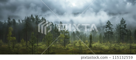 Forest landscape shrouded in clouds and mist 115132559