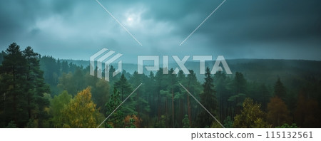 Distant view of a forest covered in rain and mist 115132561