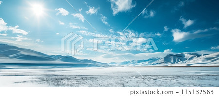 Snow-covered plains and distant snowy mountains 115132563
