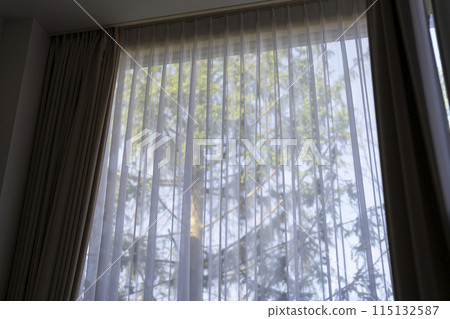 Curtain 115132587