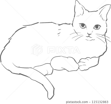 躺著的貓的單色線畫插圖 躺著的貓的單色線畫插圖 115132863