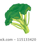 broccoli 115133420