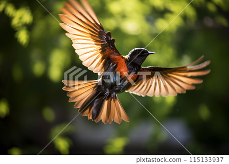 Colorful bird flying with wings spread 115133937