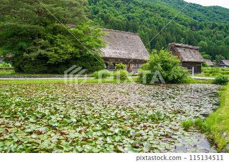 World Heritage Site Shirakawa-go Gassho-style Village Early Summer Season Wada Family Home World Heritage Site Shirakawa-go Gassho-style Village Early Summer Season Wada Family Home 115134511
