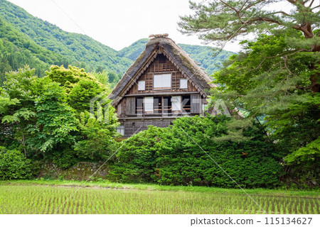 世界遺產白川鄉合掌造村初夏時節及田家 115134627