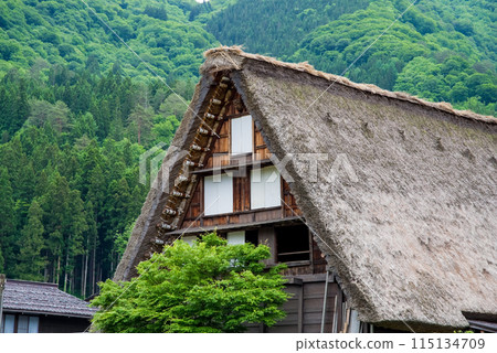 世界遺產白川鄉合掌造村初夏時節 世界遺產白川鄉合掌造村初夏時節 115134709