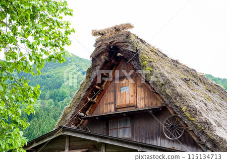 世界遺產白川鄉合掌造村初夏時節 115134713