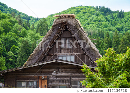 World Heritage Site Shirakawa-go Gassho-style Village Early Summer Season World Heritage Site Shirakawa-go Gassho-style Village Early Summer Season 115134718