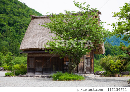 World Heritage Site Shirakawa-go Gassho-style Village Early Summer Season 115134731