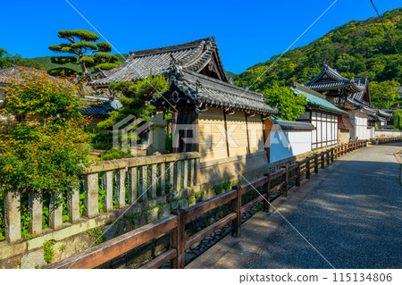 Townscape of Tatsuno City, Hyogo Prefecture 115134806