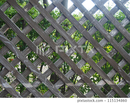 網格點陣 115134860