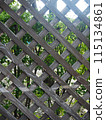 網格點陣 115134861