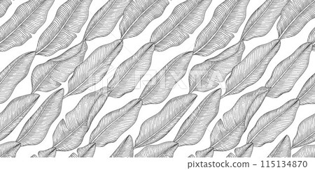 Banana leaf pattern black and white illustration Banana leaf pattern black and white illustration 115134870