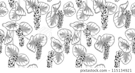 seagrape pattern black and white illustration 115134921