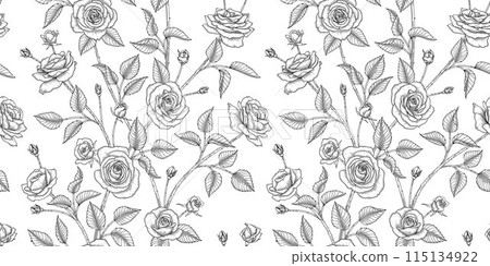 Rose floral pattern black and white illustration Rose floral pattern black and white illustration 115134922