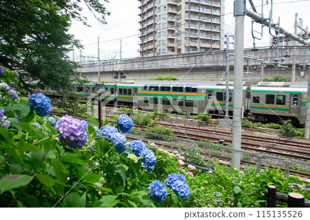 Asukayama Park 115135526