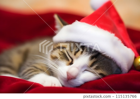Cute kitten sleeps in a Christmas hat. Neural network AI generated art Cute kitten sleeps in a Christmas hat. Neural network AI generated art 115135766