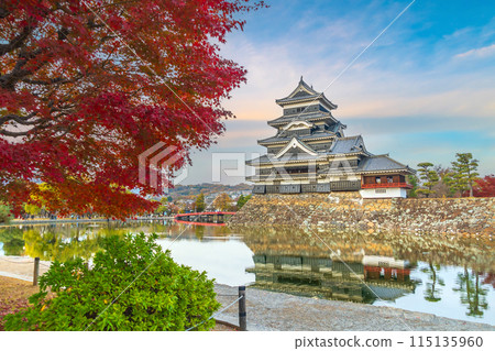 Matsumoto Nagano Japan, city skyline at Matsumoto Castle with autumn foliage season 115135960