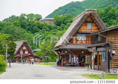 World Heritage Site Shirakawa-go Main Street Early Summer Season World Heritage Site Shirakawa-go Main Street Early Summer Season 115136068