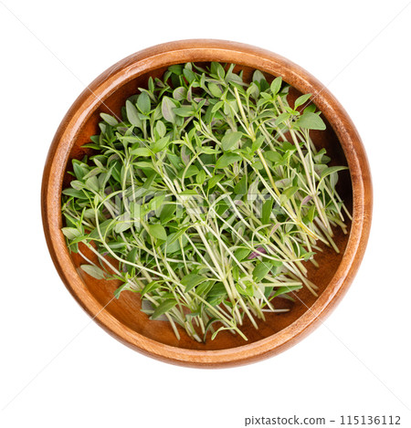 Fresh thyme sprigs, in a wooden bowl. Green twigs of Thymus vulgaris, a medicinal and culinary herb, also grown as ornamental plant. Isolated, close-up, from above, on white background, food photo. 115136112