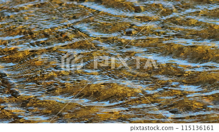 Wave pattern of water surface Wave pattern of water surface 115136161