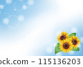 Sunflower summer greetings (no text) 115136203