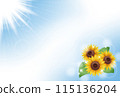 Summer greeting card with sunflowers and sky (no text) 115136204