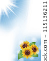 Summer greeting card with sunflowers and sky (no text) 115136211